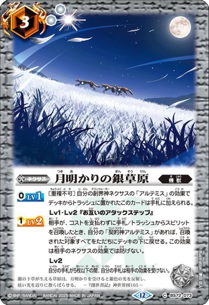 画像1: BS72-073 月明かりの銀草原 (1)