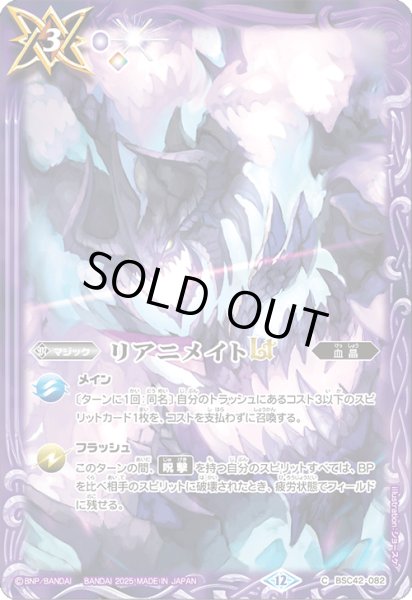 画像1: BSC42-082 リアニメイトLT (1)