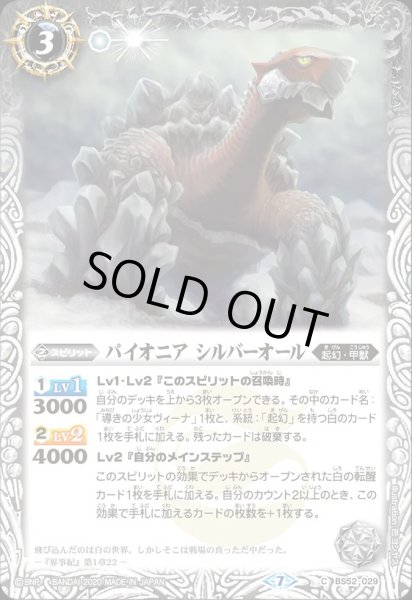 画像1: BS52-029 パイオニア シルバーオール (1)