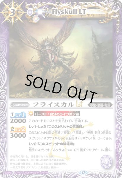 画像1: BSC49-011 フライスカルLT (1)