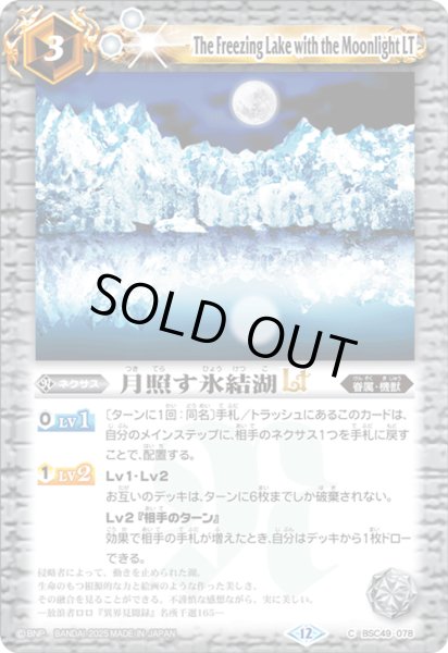 画像1: BSC49-078 月照す氷結湖LT (1)