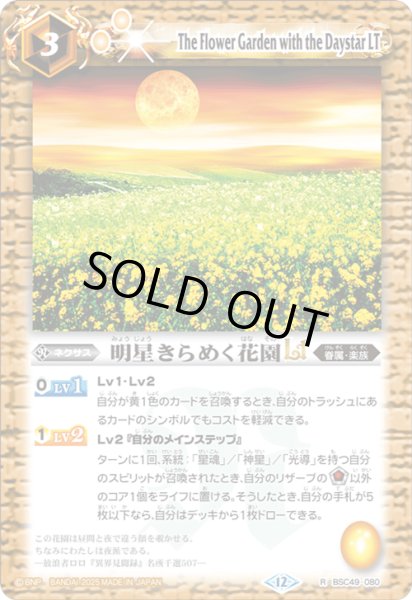 画像1: BSC49-080 明星きらめく花園LT (1)