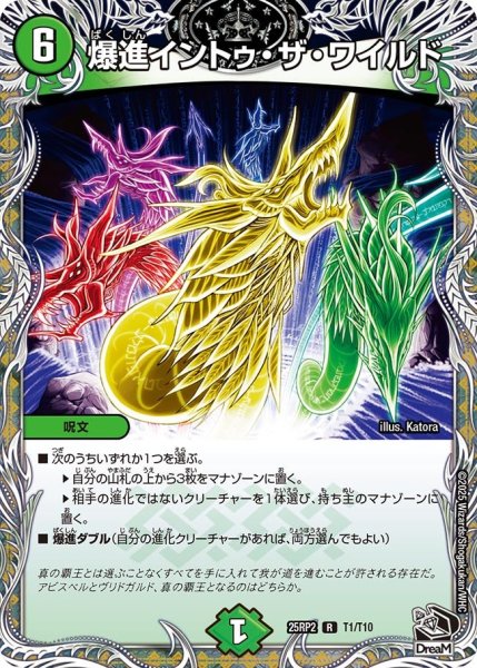 画像1: 爆進イントゥ・ザ・ワイルド （T1/T10） (1)