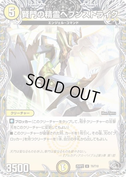 画像1: 賢門の精霊ヘブンストライク （T6/T10） (1)
