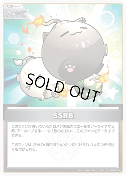 画像1: 【C】SSRB (1)